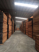 新貨到，雙發(fā)到新貨有紅玫瑰，黃玫瑰，紅花梨，紅紅火火，歡迎訂貨