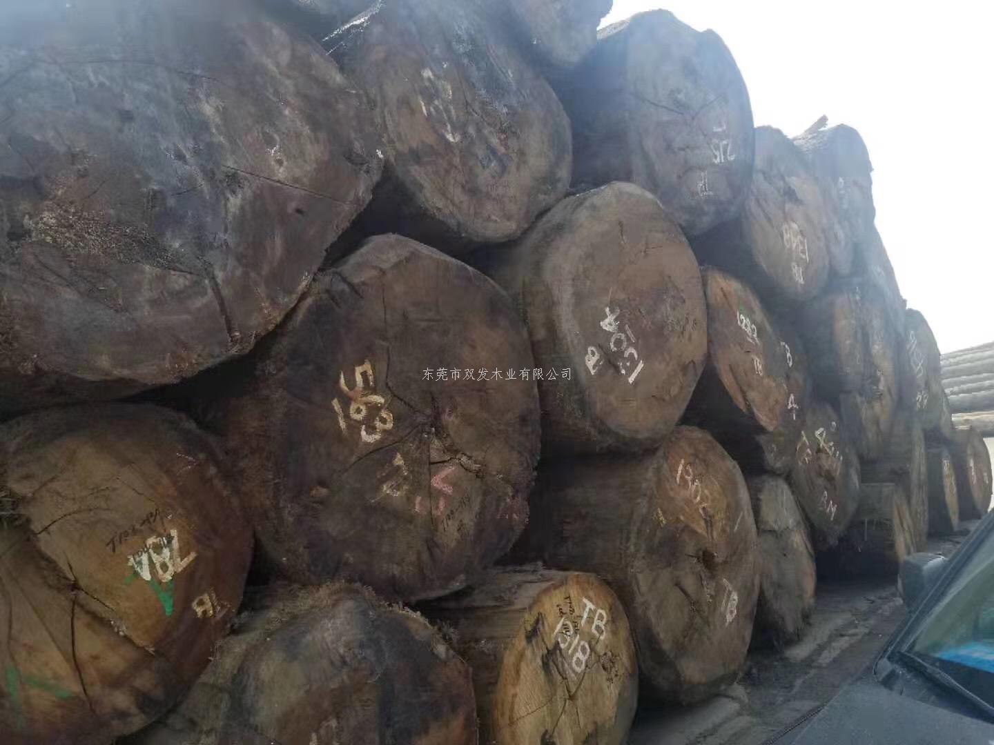 迎7月家具展，雙發(fā)木業(yè)原木加工進(jìn)行中。。